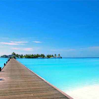 金年会最新官网下载